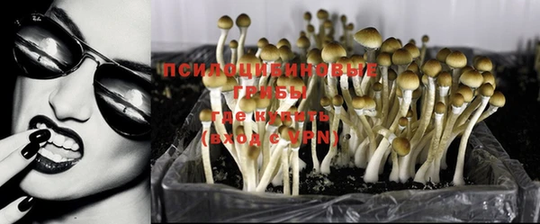 соль курить ск Алексеевка