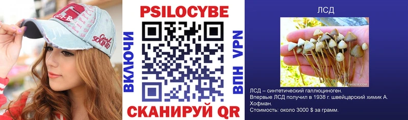 Псилоцибиновые грибы мухоморы  blacksprut зеркало  Морозовск  цена  